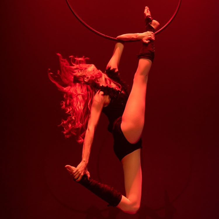 Aerial Hoop Aline